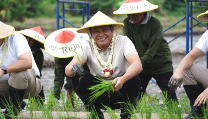 Program Contract Farming 2025 Tanam Padi Bersama di Sidoarjo