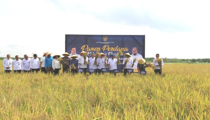 Panen Perdana Kemenimipas Bangun Lumbung Ketahanan Pangan