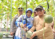 Wabup Sidoarjo Apresiasi Melon Hidroponik Desa Gempol Klutuk