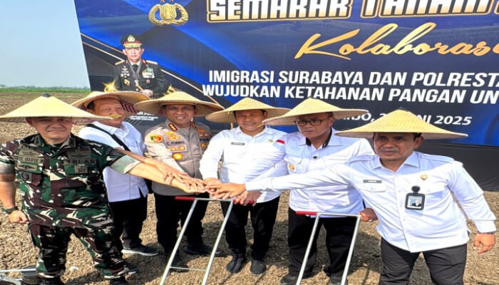 Kolaborasi Konkret Bupati Sidoarjo Dukung Program Tanam Jagung
