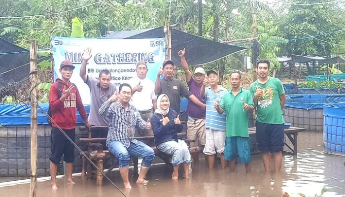 BRI Unit Balongbendo Gathering Bersama Cluster Binaan Ikan Lele