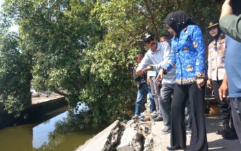 Wabup Sidoarjo Sidak Jembatan di Tambak Cemandi Yang Putus