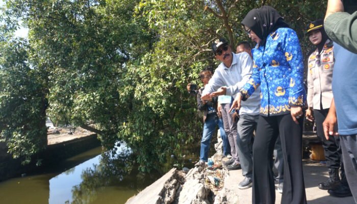Wabup Sidoarjo Sidak Jembatan di Tambak Cemandi Yang Putus