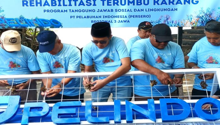 Pelindo Gandeng Laznas LMI Rehabilitasi Terumbu Karang