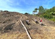 Phabinkamtibmas Polsek Mambi, Data Lahan Jagung Milik Warga