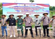 Swasembada Pangan, Polda Sulbar Gelar Aksi Tanam Jagung