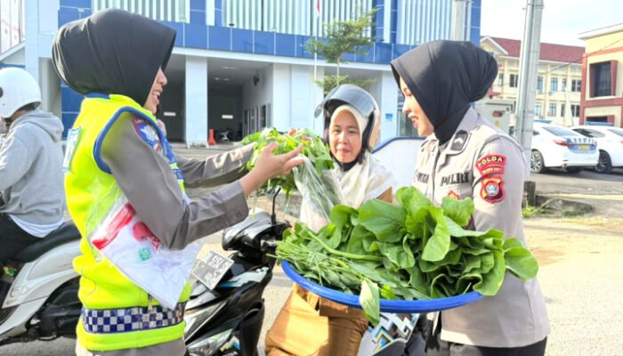 Panen Perdana, Ditlantas Polda Sulbar Bagikan 100 Paket Sayuran