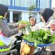 Panen Perdana, Ditlantas Polda Sulbar Bagikan 100 Paket Sayuran
