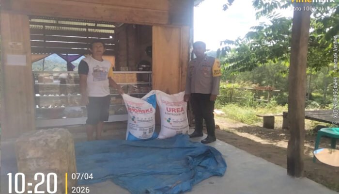 Petani Jagung Desa Tabone Dapat Tambahan Pupuk Dari Polsek