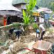 Wabup Mamasa Tinjau Lokasi Bencana Alam Salurkan Bantuan