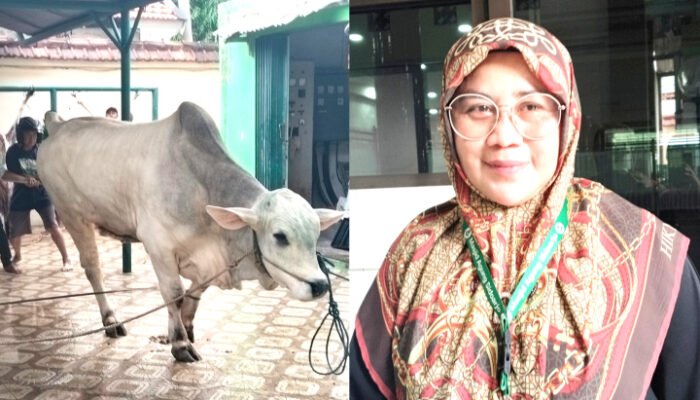 Barokalloh 13 Hewan Qurban Disalurkan di Masjid Agung Sidoarjo