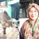 Barokalloh 13 Hewan Qurban Disalurkan di Masjid Agung Sidoarjo