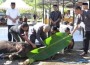 Puluhan Hewan Qurban Disembelih, Polda Sulbar Dalam Idul Adha