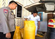 Monitoring Panen Jagung di lahan Warga Binaan Ballabatu