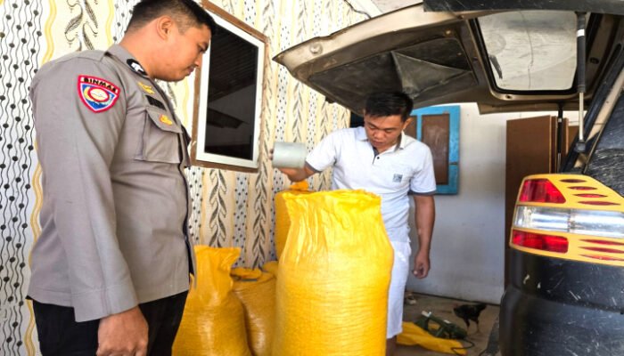Monitoring Panen Jagung di lahan Warga Binaan Ballabatu