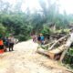 Jalan Sempat Tertutup, Dua Rumah Tertimpa Pohon Tumbang