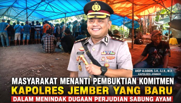 Kapolres Jember Jadi Sorotan, Dugaan Adanya Judi Sabung Ayam