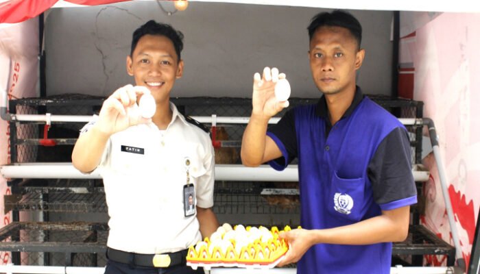 Ternak Ayam Kampung Bagian Pembinaan WB Lapas Sidoarjo